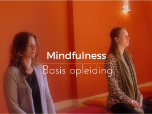 balansante mindfulness basis opleiding