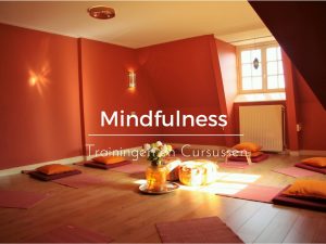 mindfulness training en curssusen