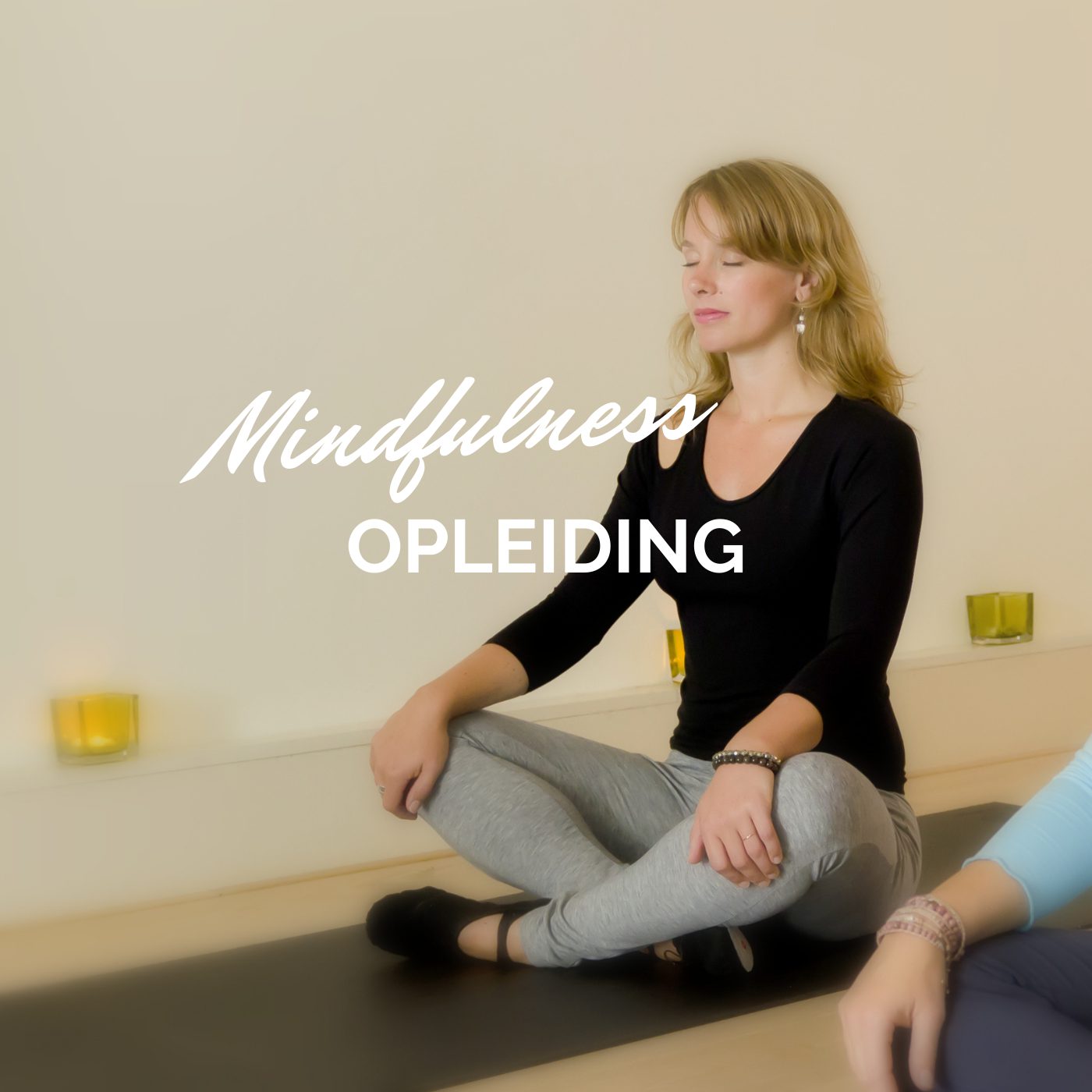 balansante mindfulness opleiding