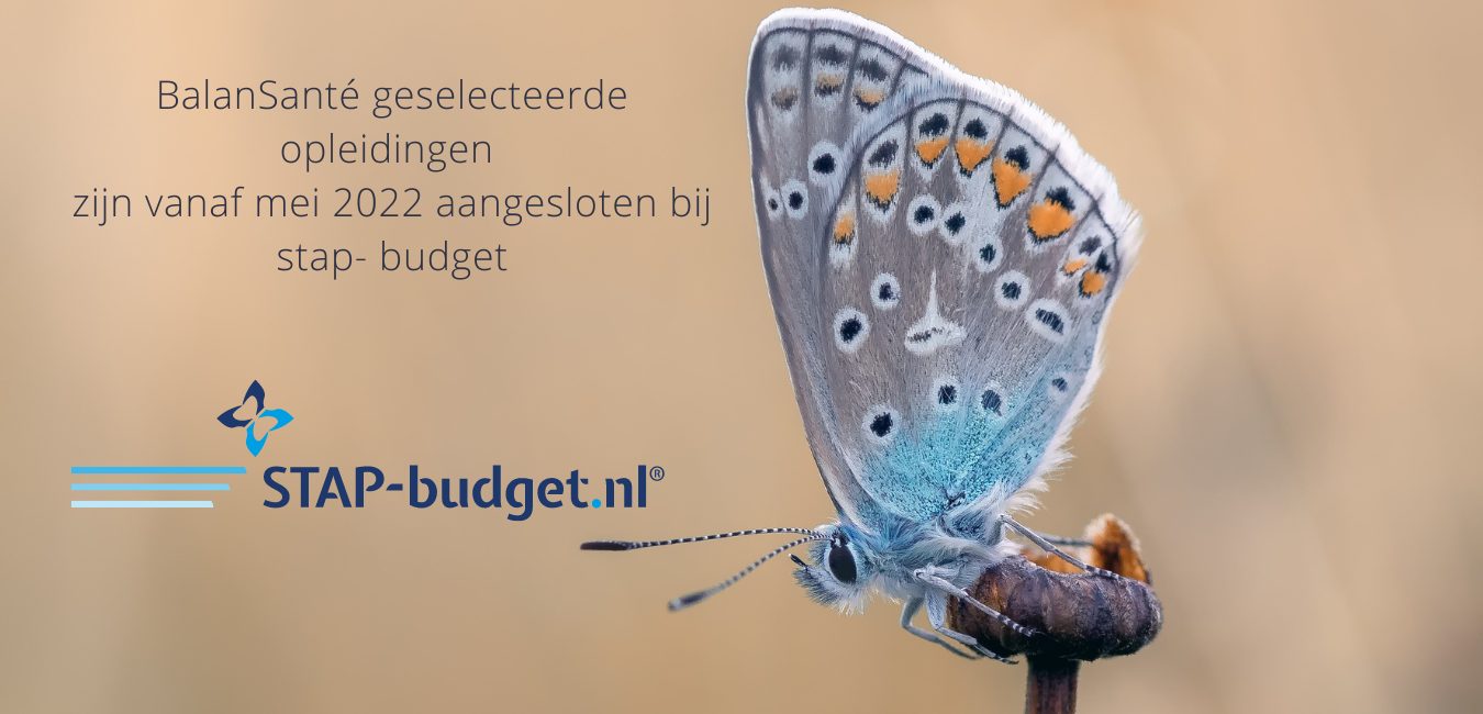 stap budget