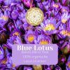Blue Lotus Balans Blend thee - Afbeelding 5