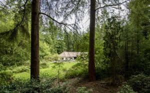 balansante mindfulness instituut locatie veluwe