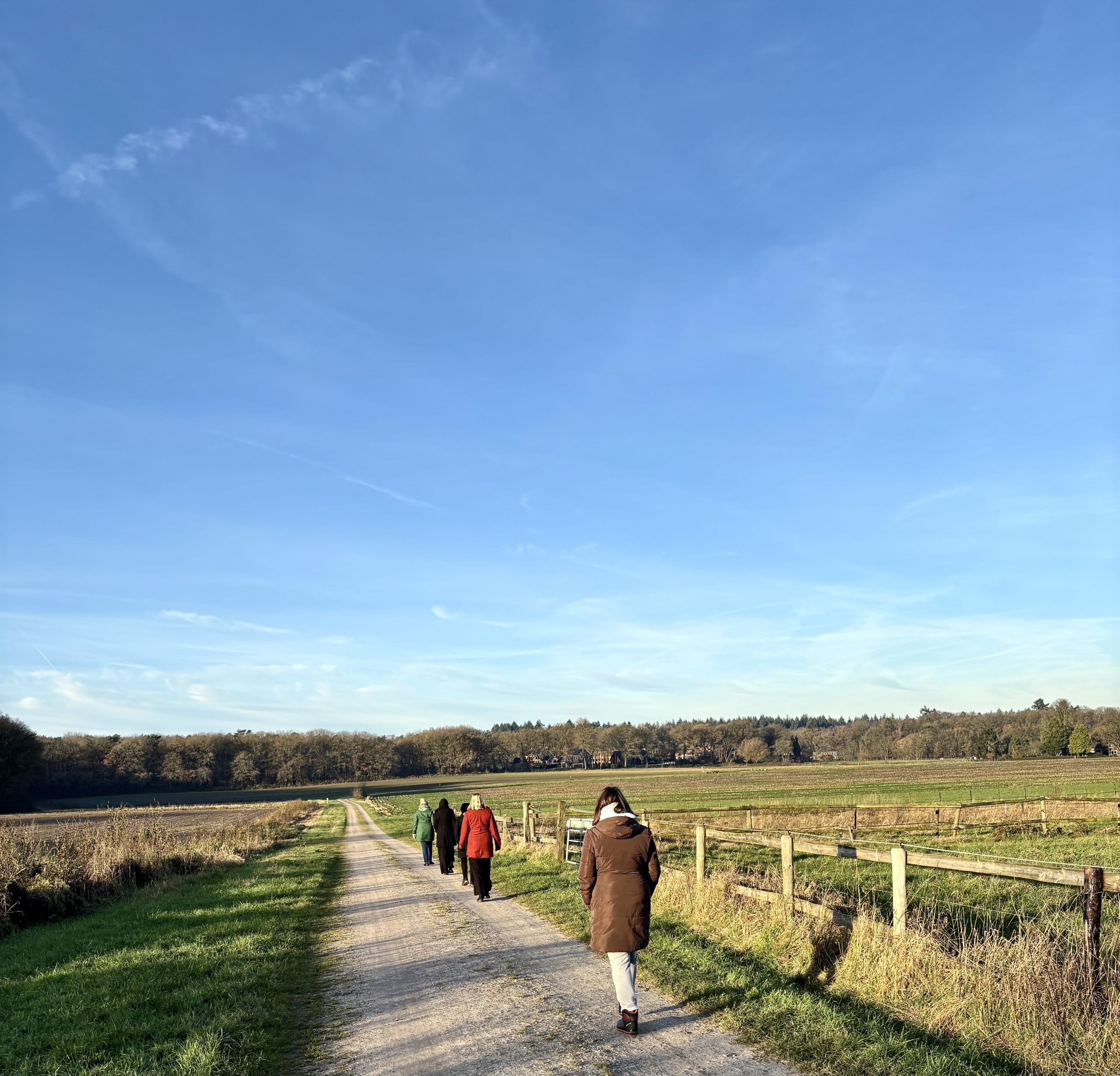 balansante mindfulness en wandel retraite beekbergen gelderland