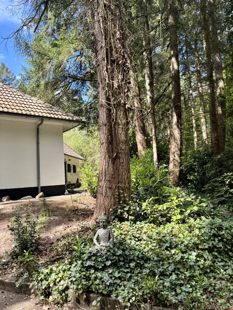 ED4446F9-910A-42C3-B245-69D91835DEF1_1_105_c balansante mindfulness instituut locatie veluwe